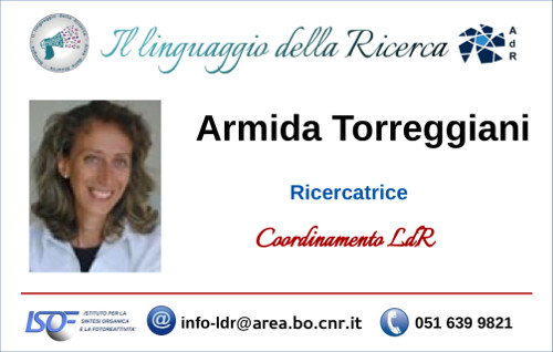 Armida Torreggiani